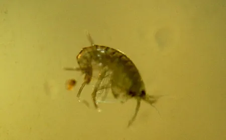 1628782283716.png 1628782283716.png