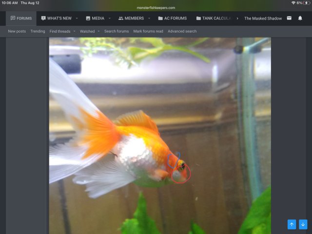 FC7153B1-82D5-4CCB-AD30-6F88BD29CF34.jpeg
