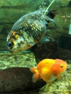 IMG_1822.jpg IMG_1822.jpg