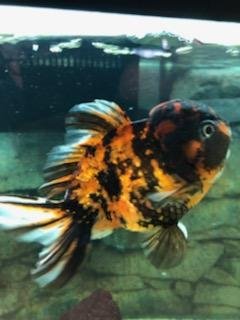 IMG_1827.jpg IMG_1827.jpg