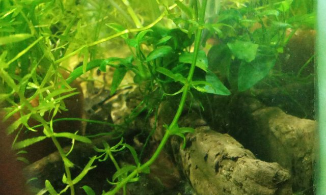 20210814_182155.jpg