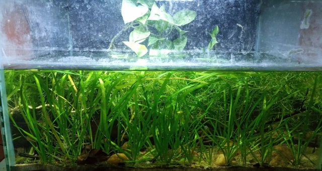 20210814_182121.jpg