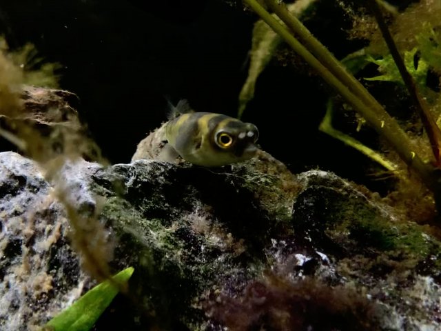 444E2494-AF30-4939-8E73-B2C18A2F6207.jpeg