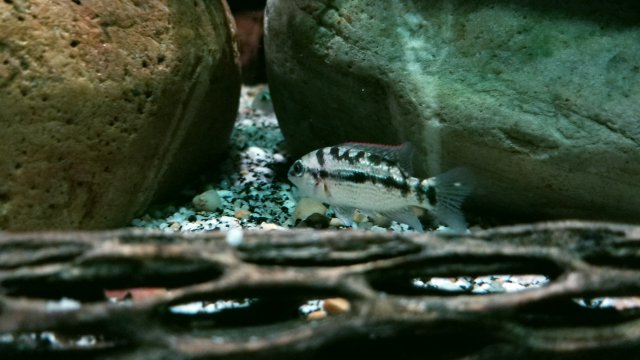 20210809_163918.jpg