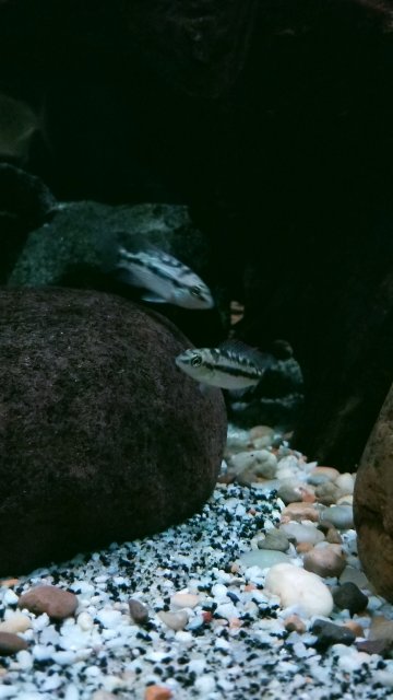 20210807_054529.jpg