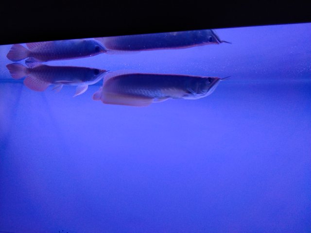 IMG20210715124742.jpg