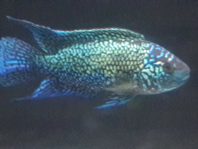20171203_172112.jpg