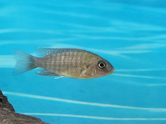 20210819_165625.jpg