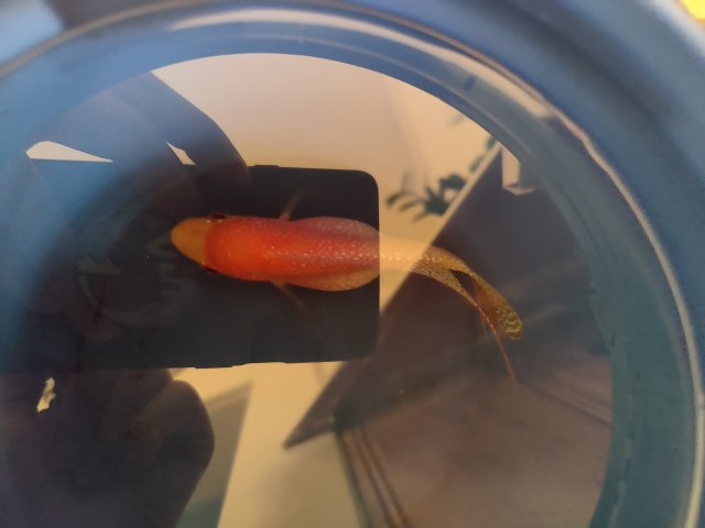 IMG_20210818_211404.jpg IMG_20210818_211404.jpg