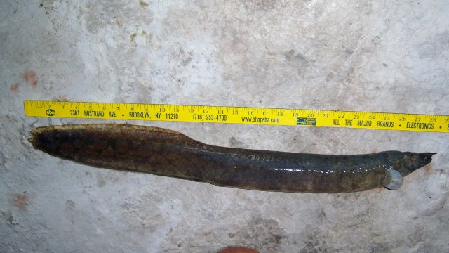100_9543-1.JPG 100_9543-1.JPG
