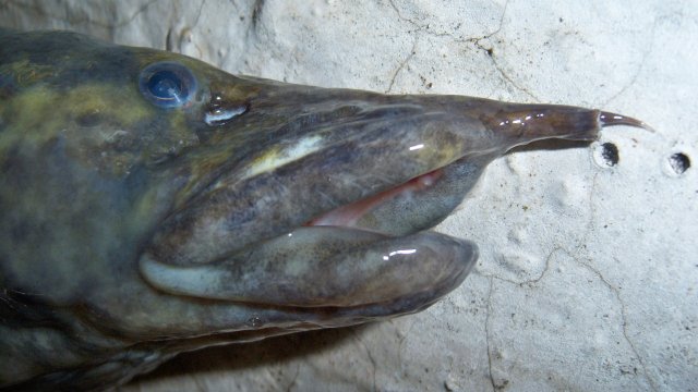 100_9551.JPG 100_9551.JPG