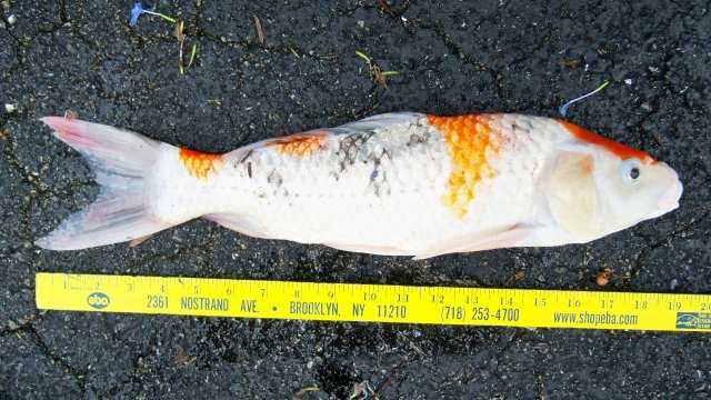 100_9711.JPG 100_9711.JPG