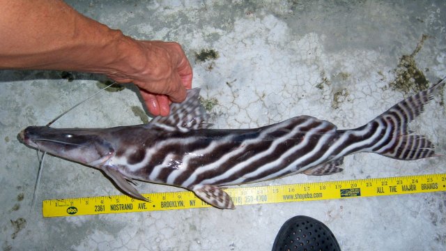 100_9656.JPG