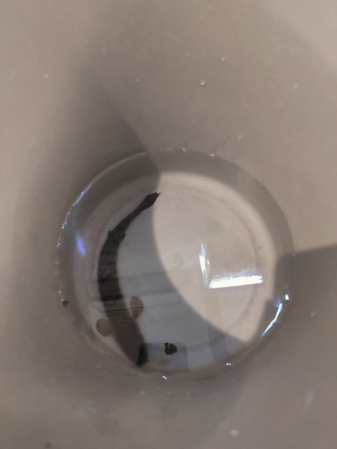 IMG_20210824_085431.jpg