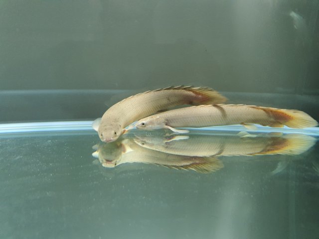 20210825_213116.jpg