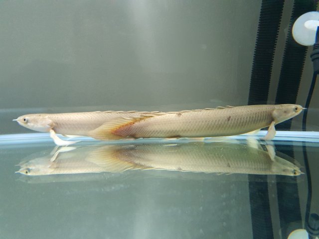 20210825_213152.jpg