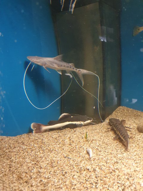 20210625_203238.jpg