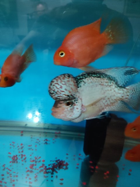 20210826_122744.jpg 20210826_122744.jpg