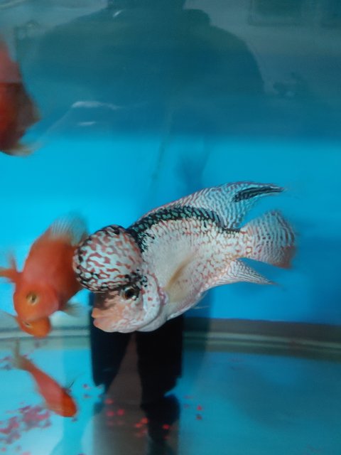 20210826_122722.jpg 20210826_122722.jpg