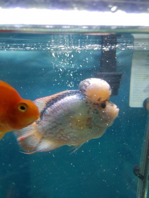 20210820_093353_HDR.jpg 20210820_093353_HDR.jpg