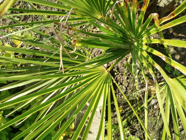 IMG_20210828_132519_HDR.jpg