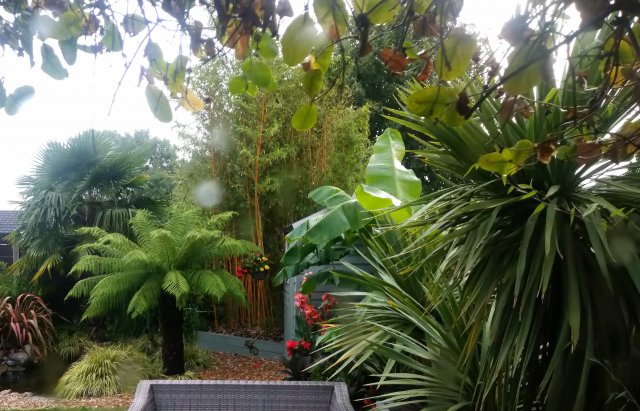 _20200810_202249.JPG