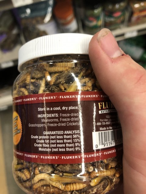 image.jpg