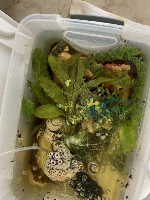 DC093556-44CC-4EE1-98E2-8FA9F25275FC.jpeg DC093556-44CC-4EE1-98E2-8FA9F25275FC.jpeg