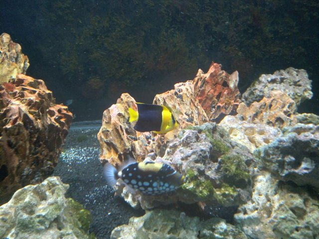 20210910_193557.jpg