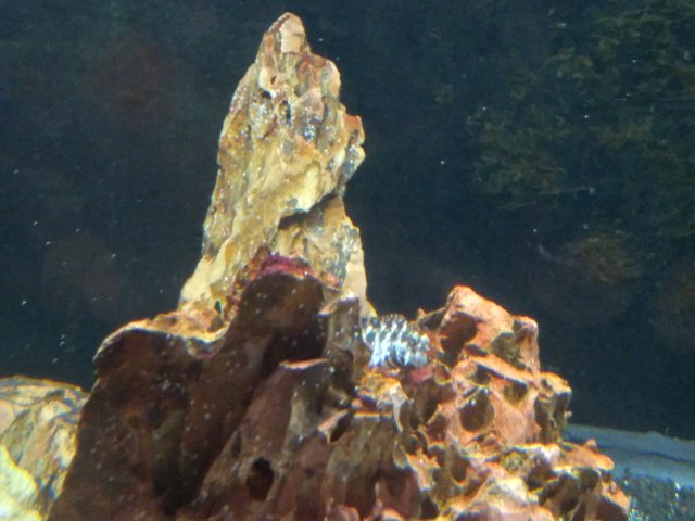 20210910_192906.jpg