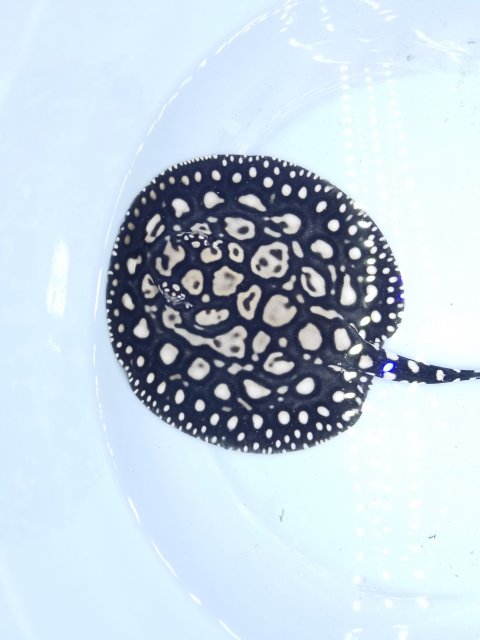 20210914_182616.jpg