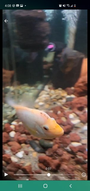 Screenshot_20210914-160826_One UI Home.jpg