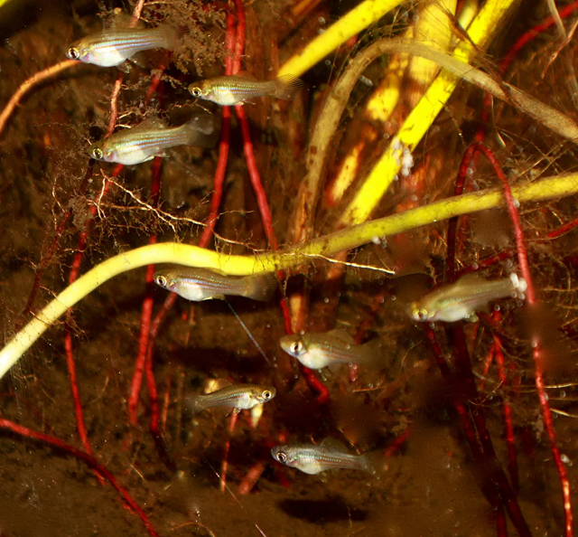 1631710074590.png 1631710074590.png