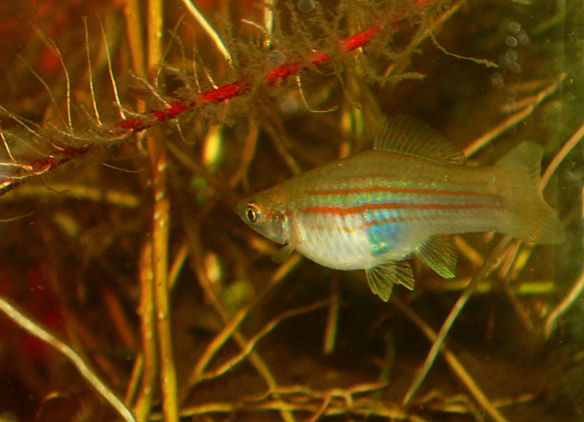 1631710204067.png 1631710204067.png