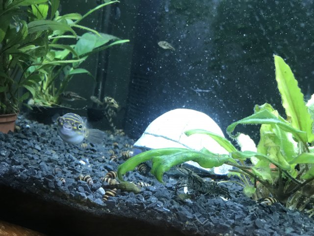 IMG_5163.jpg IMG_5163.jpg