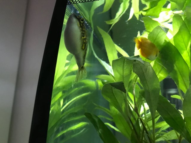 IMG_5167.jpg IMG_5167.jpg