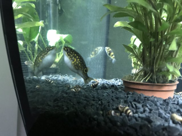 IMG_5170.jpg IMG_5170.jpg