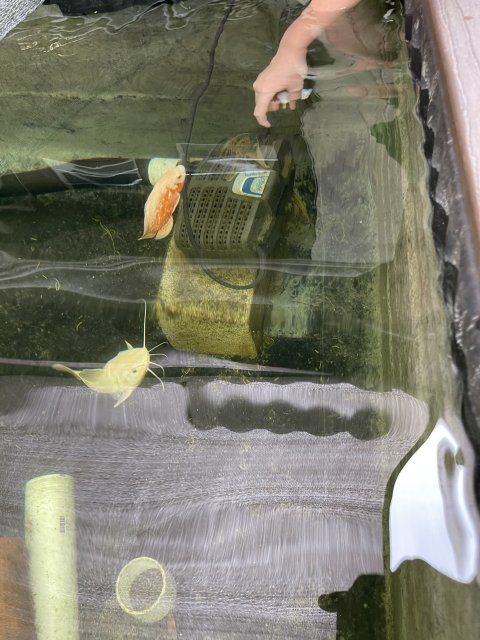 0220B4CC-F591-4FC7-A7C8-836A54FB4389.jpeg 0220B4CC-F591-4FC7-A7C8-836A54FB4389.jpeg