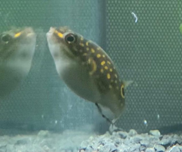 963E2670-F4A1-46D1-AB5E-8346EEEA8492.jpeg 963E2670-F4A1-46D1-AB5E-8346EEEA8492.jpeg