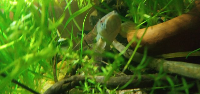 20210922_075004_mfnr.jpg