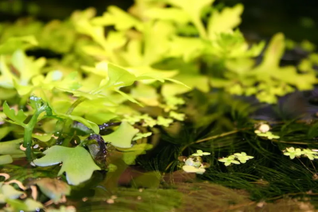 1632347653304.png 1632347653304.png