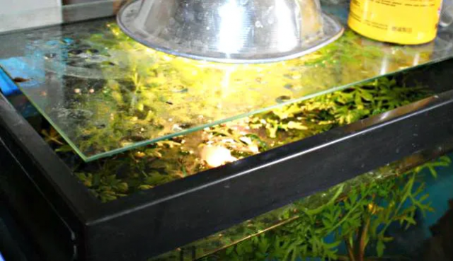 1632347712788.png 1632347712788.png