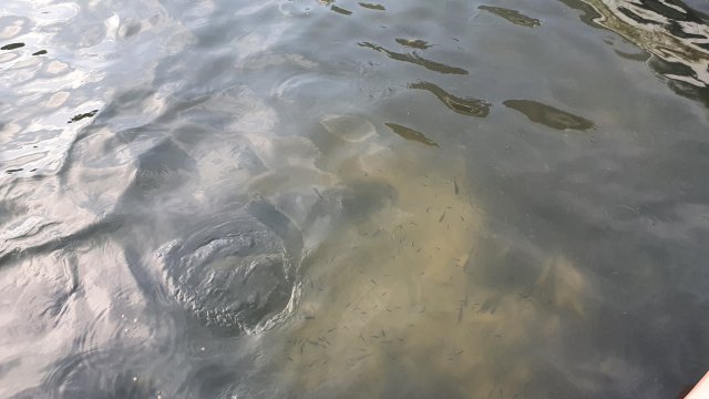 20210823_180619.jpg