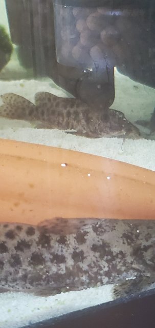 20210906_100946.jpg