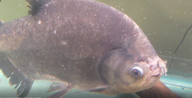 test234.PNG test234.PNG