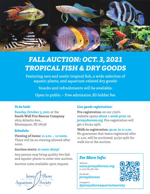 JSAS Auction Flyer-Fall 2021.jpeg JSAS Auction Flyer-Fall 2021.jpeg