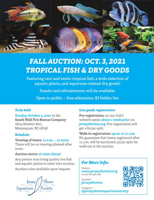 JSAS Auction Flyer-Fall 2021.jpeg