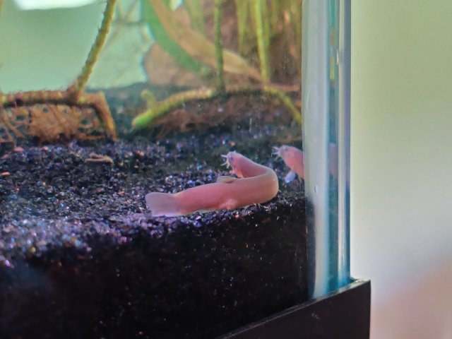 IMG_20210925_104835.jpg IMG_20210925_104835.jpg