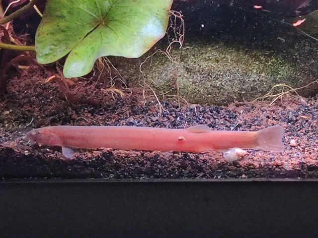 IMG_20210925_104323.jpg IMG_20210925_104323.jpg