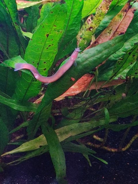 IMG_20210925_104247.jpg IMG_20210925_104247.jpg